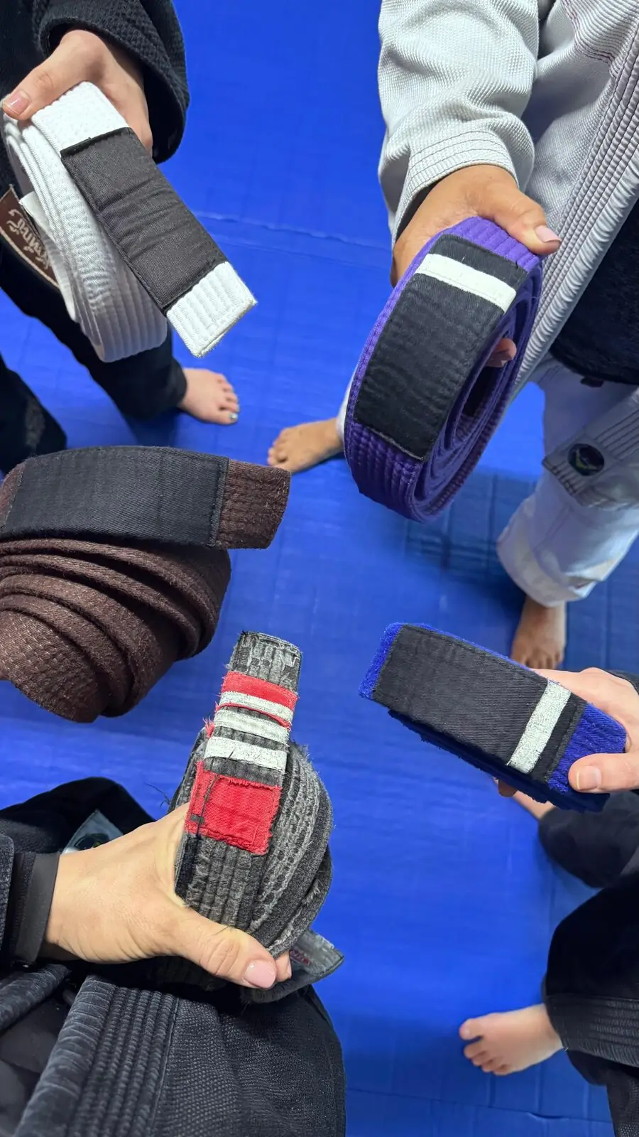 BJJ belts representing every level